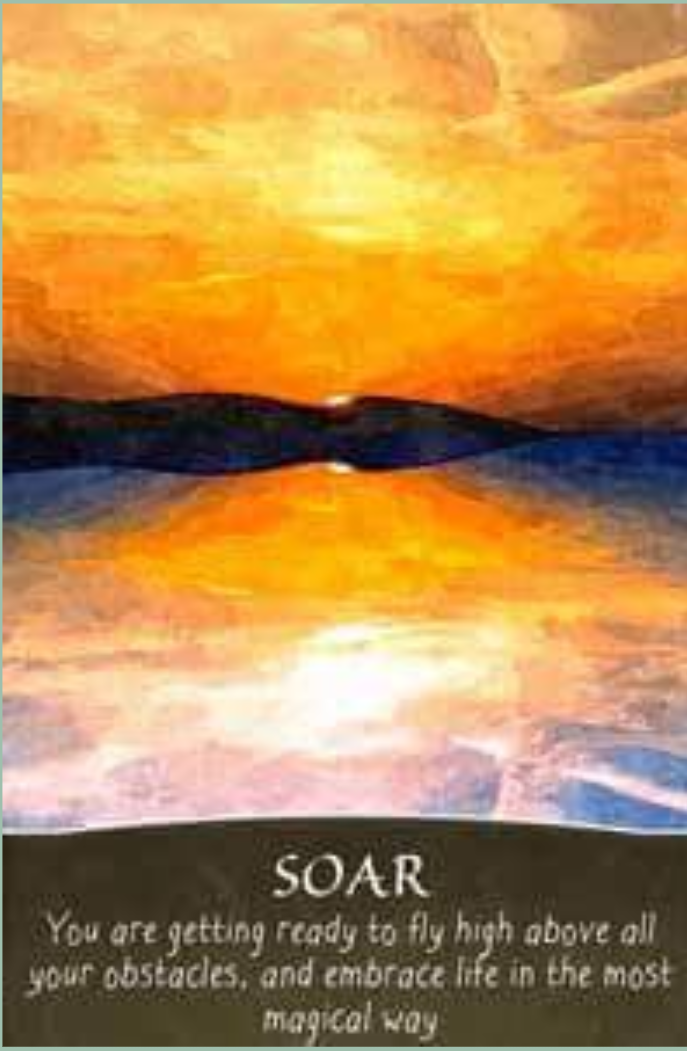 2017-12-22 23.08.31.png