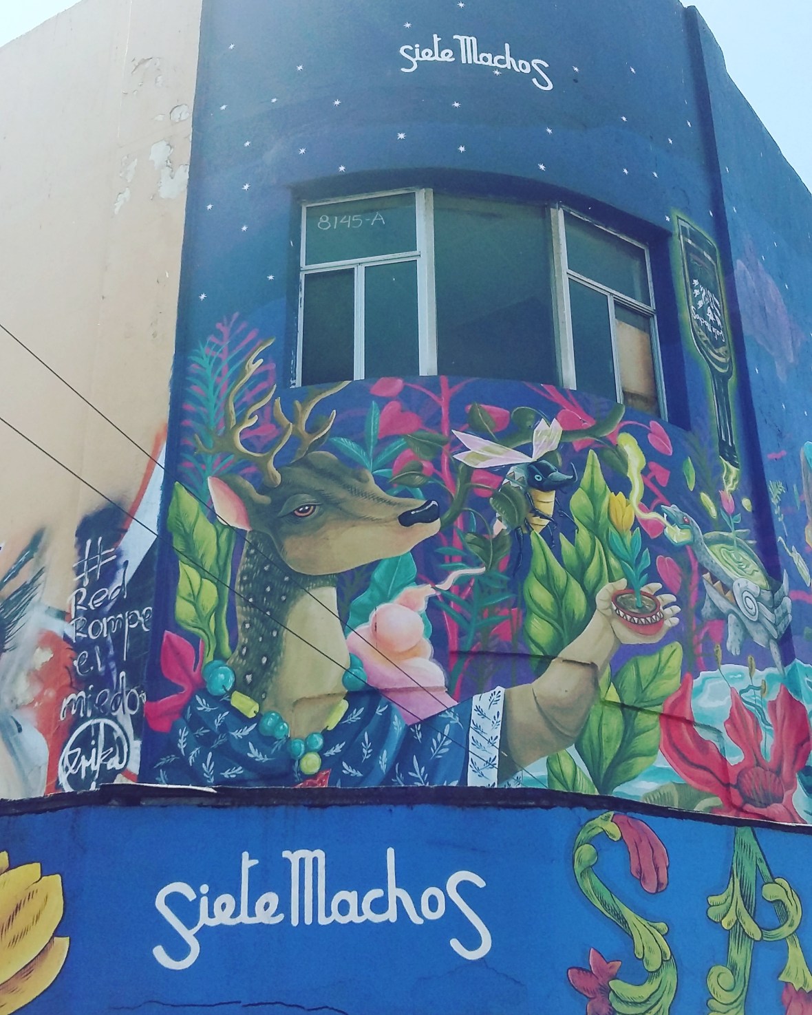 IMG_20190329_134233_574